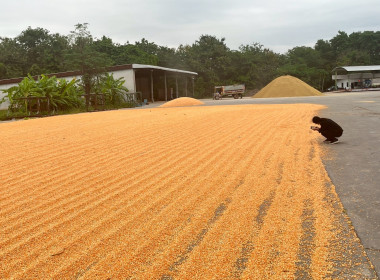ร่วมสังเกตการณ์ คณะกรมสหกรณ์และพัฒนาชนบทเมียนมาร์ ... พารามิเตอร์รูปภาพ 113
